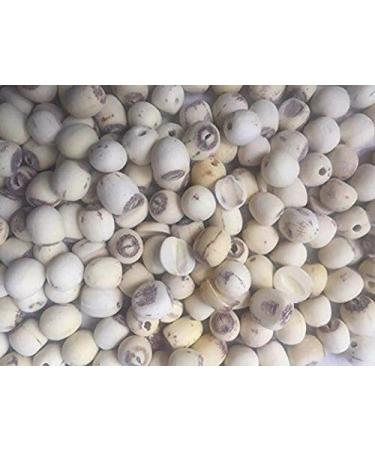 4 Pound (1816 grams) High grade lotus seeds from China.