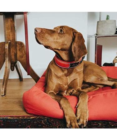 HUNTER DIVO Nylon Dog Collar - Medium Red/Grey | Premium Quality Pet Accessory - Buy Online on GoSupps.com