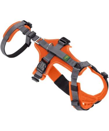 Safety Harness Maldon Orange/Grey - Size SM | Durable & Comfortable | International Shipping Available - Buy Online on GoSupps.com