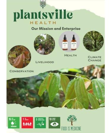 Plantsville Health Cinnamon Coco Sugar 150g - Natural Sugar Substitute for Baking & Drinks - Buy Online on GoSupps.com