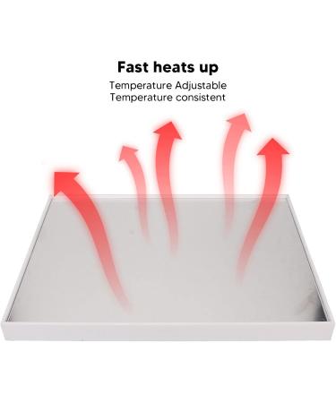 Lotion Heater 3 Timer Essential Oil Bottle Heater for Beauty Salon (US Plug 110V) - Buy Online on GoSupps.com