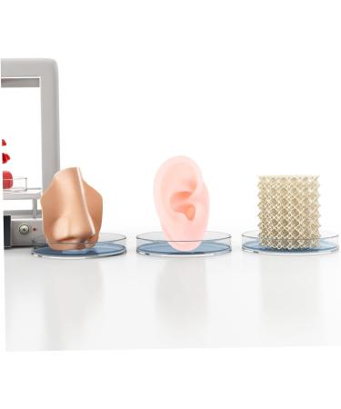 Lurrose 2pcs Silicone Ear Mold Piercing Tools - 3D Ear Jewelry Display & Practice Tool - Body Flesh Color - Anatomy Silicone Mold - Buy Online on GoSupps.com