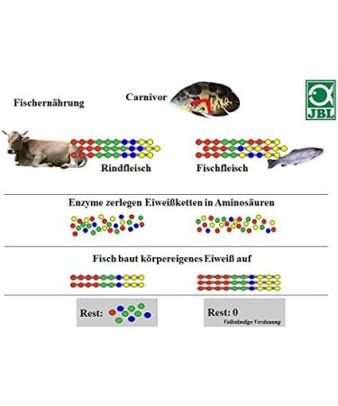 JBL NovoMalawi Complete Food for Algae-Eating Cichlids - 250ml Flakes - International Shipping - Buy Online on GoSupps.com
