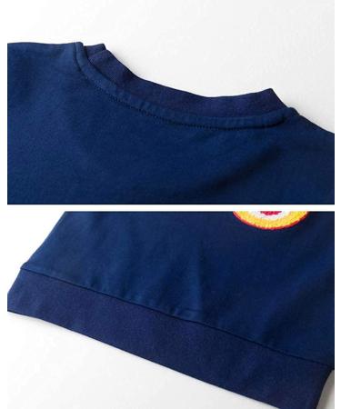 Girls Cotton Sweatshirt for Kids | Casual Long Sleeve Pullover | Toddler Clothes for Age 1-12 | 02 Blue - Buy Online on GoSupps.com
