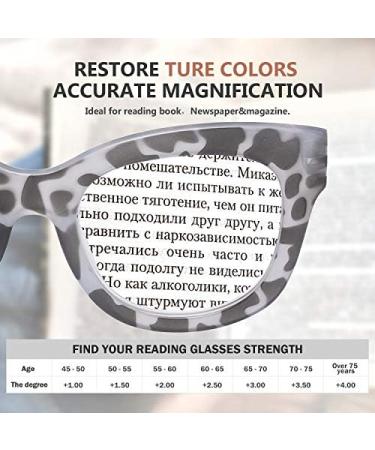 Shop Eyekepper Oversized Retro Reading Glasses for Women - Stylish Grey/Tortoise Frames +2.50 Magnification - Buy Online on GoSupps.com