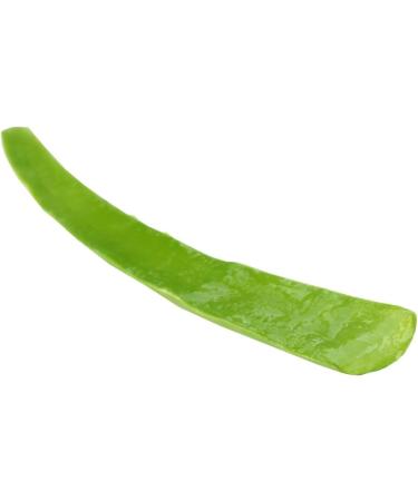  VONDERWEID Organic Aloe Arborescens leaves of Sicilian cultivation in open air | Quality leaves to make Aloe Arborescens juice - Aloe Arborescens Gel and Aloe Padre Zago | (2 kg) - Buy Online on GoSupps.com