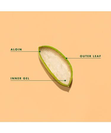 Certified Organic Aloe Vera Gel 2-Pack - 12 Fl Oz Ea | Soothing Aloe Vera Gelly for Sun-Exposed Skin | Hydrating Body & Face Moisturizer - Buy Online on GoSupps.com