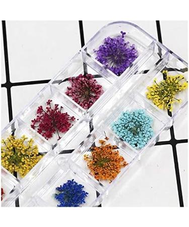 Sinen 1 Box Dried Flowers & Fruit Slices Nail Art Set - 3D Flower Stickers & Fruit Charms for DIY Crafts, Nail Decals, Slime Accessories - Buy Online on GoSupps.com