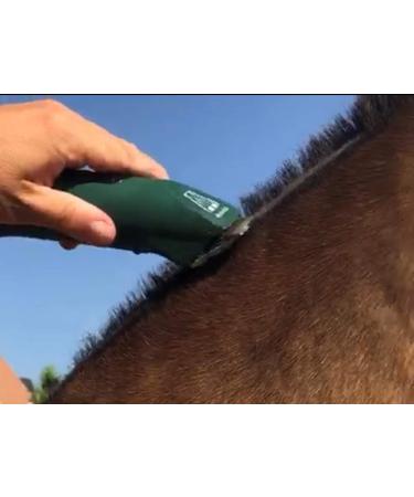 Cordless MD Roamer Cob Kit Horse Clipper/Trimmer with 10F and 7 Skip Blades - for Feathers and Hogging Manes - Buy Online on GoSupps.com