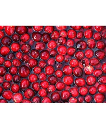 lower uric acid naturally - URIC ACID - uric acid balance uric acid and joint cranberry pills for women cranberry extract cranberry juice cranberry supplement tart cherry extract 1Bot 60Caps - Buy Online on GoSupps.com