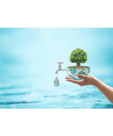 Buy SodaStream Lemon Syrup (No Sugar) - Makes 9 Liters in Seconds | Fresh 440ml Beverage Solution - Buy Online on GoSupps.com