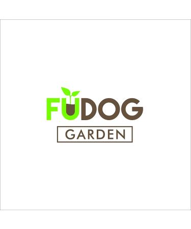 Premium Fresh Lemongrass (Cymbopogon citratus) - 8 Stalks - Fu Dog Garden - Buy Online on GoSupps.com