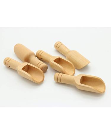 20pcs Mini Wooden Mini Candy Baby Spoon Salt Scoops Tea Spoon Take a Bath Washing Powder - Buy Online on GoSupps.com