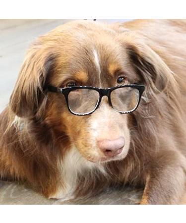 Dog Pet Costume Glasses for Medium Breeds 18-40lbs - 80s Black-Clear Lens | Style Vault G003 - Buy Online on GoSupps.com