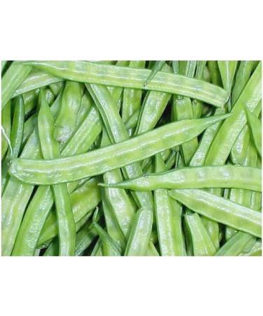 Gum guar 250g Powder Cyamopsis tetragonolobus - Buy Online on GoSupps.com