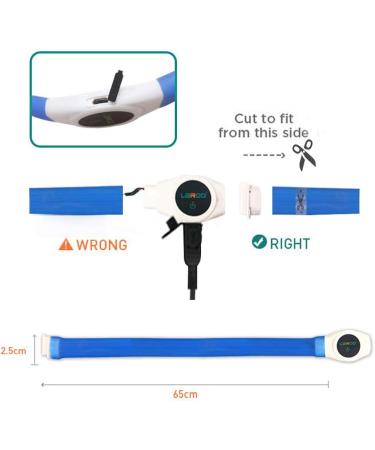 Laroo LED Dog Collar - USB Rechargeable Night Safety Luminous Collar for Small Medium Large & Long-Haired Dogs - 3 Modes 65cm x 2.5cm Blue - Buy Online on GoSupps.com