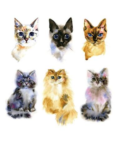 Waterproof Temporary Yellow Grey Cat Tattoo Stickers Set of 2 Watercolor Design - Buy Online on GoSupps.com