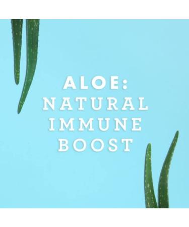 Lily of the Desert Aloe Vera Gel - Inner Fillet Filtered Drink | Thicker Consistency with Natural Vitamins & Digestive Enzymes | Gut Health, Stomach Relief & Glowing Skin | 16 Fl Oz - Buy Online on GoSupps.com
