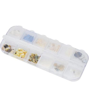 Buy Irregular Shell Slices for Nail Art | Resin Shells & Decorative Pieces | International Shipping - Buy Online on GoSupps.com