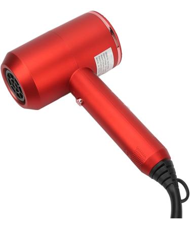 Hair Dryer Overheat Protection Professional Protable Hair Dryer 2000W 3 Heating Mode for Women Salon (US Plug 110V) - Buy Online on GoSupps.com