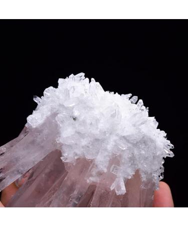 Natural Clear Quartz Crystal Cluster Minerals for Reiki Stone Home Furnishing Decoration (Size : About 500-600g) - Buy Online on GoSupps.com