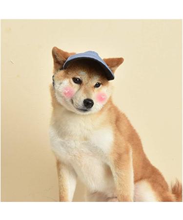 Adjustable Sun Protection Dog Cap with Ears | Summer Outdoor Baseball Hat for Small & Medium Dogs (Size M Blue) - Buy Online on GoSupps.com