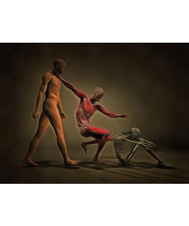 Posterazzi PSTRFF700056H Three Stages of Human Body Photo Print 11 x 17 Multi