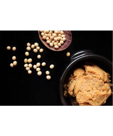 HeldenPilz Aspergillus Oryzae Koji Kin Koji Spores for Making Amasake Miso Sake Koji Spores 50g Koji Spores 50g - Buy Online on GoSupps.com