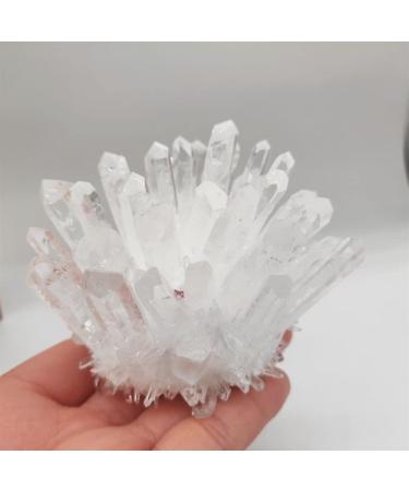 Home Decor 1pcs Natural Raw Quartz White Clear Crystal Cluster Stones Crystal Point Specimen Home Decoration Raw Crystals Gifts Natural Crystal (Size : 700-800g) Crystal Cluster (Size : 300-400g) - Buy Online on GoSupps.com