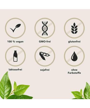 Aura Natura Fermentura Ginkgo Duo - Fermented Ginkgo Nut & Leaf Extract - 30 Capsules - Boost Memory & Wellness - Buy Online on GoSupps.com