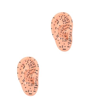 Healeved 2 STK Massage Ohr Model Scientific Models Artificial Ohr Model Tool For Ear Massage Anatomical Earring Model Earring Model Puppet Ohr Tool Set PVC 3D Labeling chocolatex2st MediumX2PCS