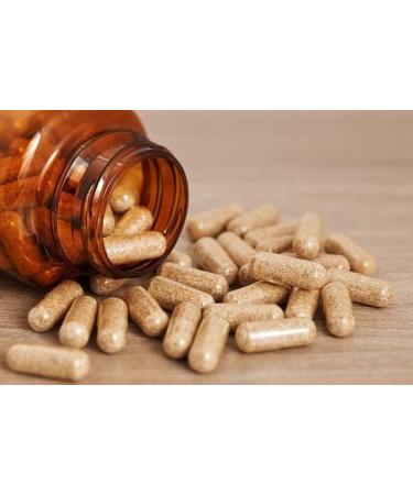 Our mega-23 Mushroom blend . We have it all! - Buy Online on GoSupps.com