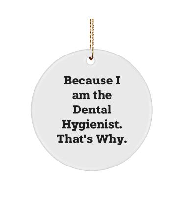 Dental Hygienist Gifts Because I Am The Dental Hygienist. That's Why. Funny Christmas Circle Ornament Gifts from Family to Dental Hygienist
