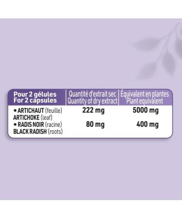 JUVAMINE - Artichoke and Black Radish - Liver Wellness - Contributes to the proper functioning of the Digestive and Hepatic System - 2 Month Format - 120 Capsules of vegetable origin - Buy Online on GoSupps.com