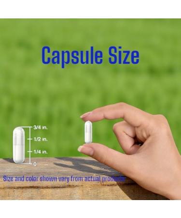 VitaCosmoX Fisetin Quercetin Resveratrol Supplement 1 200 mg 120 Veggie Capsules 100% Vegetarian Non-GMO & Gluten Free - Buy Online on GoSupps.com