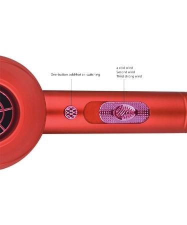 Hair Dryer Professional 2000W Salon Hairdryer Ionic Anti-frizz 3 Heat Cool Shot Setting Powerful AC Motor Blow Dryer with Diffuser and Air Nozzle Fast Drying for Home and Salon Men and Women Small - Buy Online on GoSupps.com