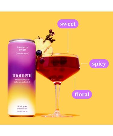 Moment Adaptogen Drink - Blueberry Ginger | Shark Tank | Non-Carbonated | 0 Sugar Caffeine Alcohol | 12-Pack | Calm & Clarity - Buy Online on GoSupps.com