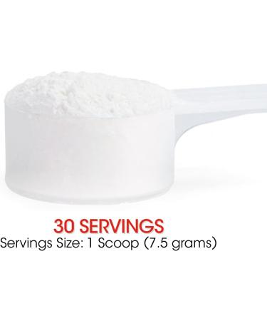 Digestive Support Fiber Supplement - 30 Day Supply - 6g Dietary Fiber - Galactomannan Guar, Baobab Fruit Powder, Acacia Fiber - 30 Servings - Buy Online on GoSupps.com