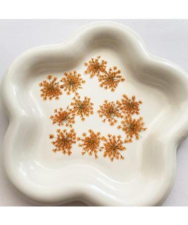 100pcs Ammi Majus Natural Pressed Dried Flowers for Resin, Soap & Candle Making (Orange) - Buy Online on GoSupps.com