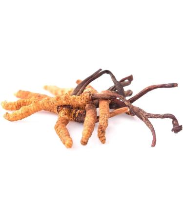 Anastore Cordyceps Multi-Vitamin - Buy Online on GoSupps.com