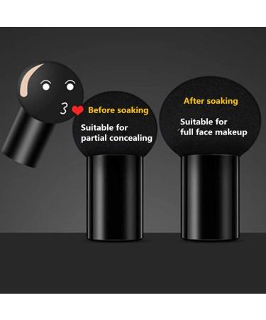 Buy CC Cream Foundation - Mushroom Head Air Cushion BB Cream | Moisturizing Concealer & Primer for Perfect Cover (Natural Color) - International Shipping Available - Buy Online on GoSupps.com