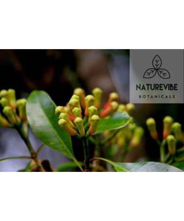 Naturevibe Botanicals Organic Clove Buds 3.53oz - Non-GMO, Gluten Free Indian Spice (100gm) - Buy Online on GoSupps.com