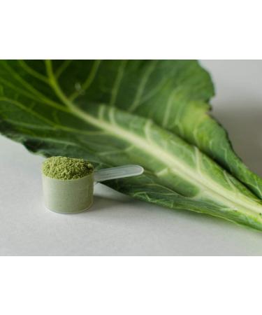 KOYAH Organic USA Collard Greens Powder | Freeze-Dried Whole-Leaf | Equivalent to 15 Cups Fresh - Buy Online on GoSupps.com