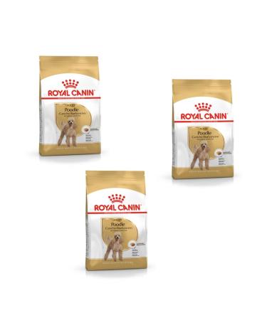 Royal Canin Poodle Adult | Pack of 3 | 3 x 500 g | Dry food for Adult Poodle | to support coat and muscle tone | for dogs from 10 months