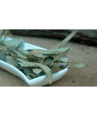 Krauterino24 Krauterino24 - Total number of eucalyptus leaves: 250 g