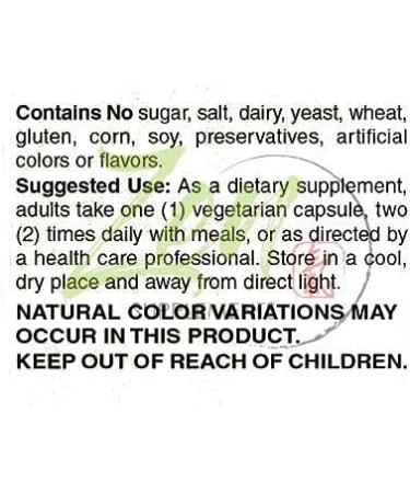 Grape Seed Extract 100mg Strength - European Grape Seed Extract Standardized to 80% OPC for Powerful Antioxidant & Inflammation Support - Best Grape Seed Extract -Non-GMO & Gluten Free 90-Vegcaps - Buy Online on GoSupps.com