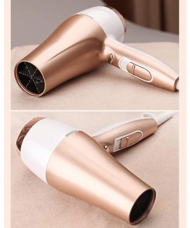 Professional Hair Dryer 2200W AC Motor Negative Ionic Technology Blow Dryer with 3 Heat & 2 Speed Setting and Cool Shot Button Concentrator Nozzle Included for Men and Women Small Gift - Buy Online on GoSupps.com