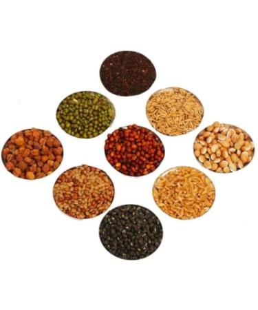 Madras Iyer's Navadaniyam Set | Nine Sacred Grains | Uses for Hindu Poojas and Rituals | High Organic Nutrition | Traditional Indian Ingredients | Approx 440Grams (Pack of 1) - Buy Online on GoSupps.com