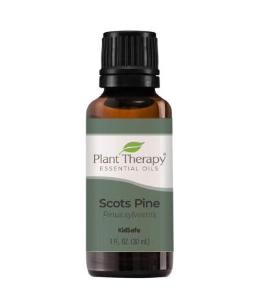 Plant Therapy Scots Pine Essential Oil 30 mL (1 oz) 100% Pure Undiluted Therapeutic Grade