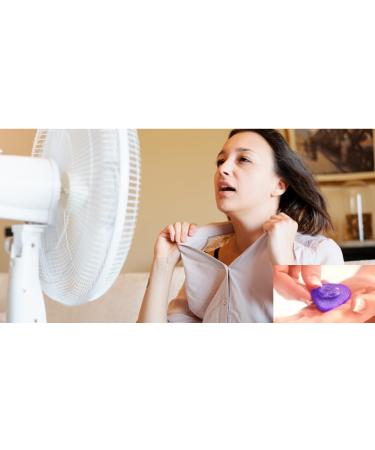 LadyCare Plus LaBalance Discreet Magnetic Device Over 2 000 Gauss | HRT Alternative for Women - Buy Online on GoSupps.com